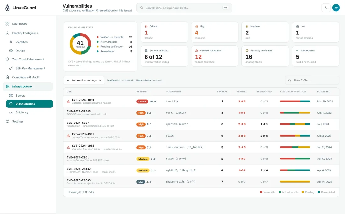 CVE & Vulnerability Management